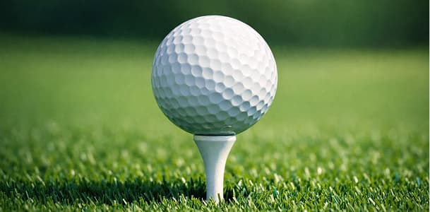Golf & Konser Alanları