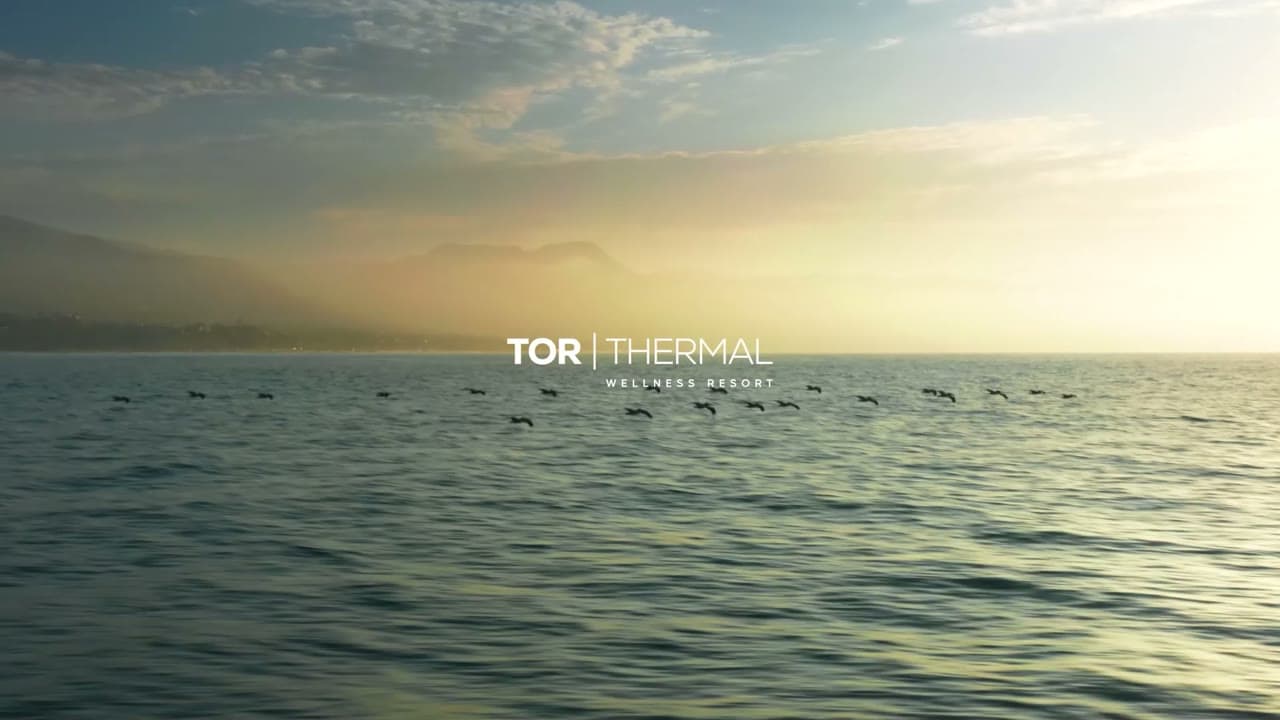 Promo Video