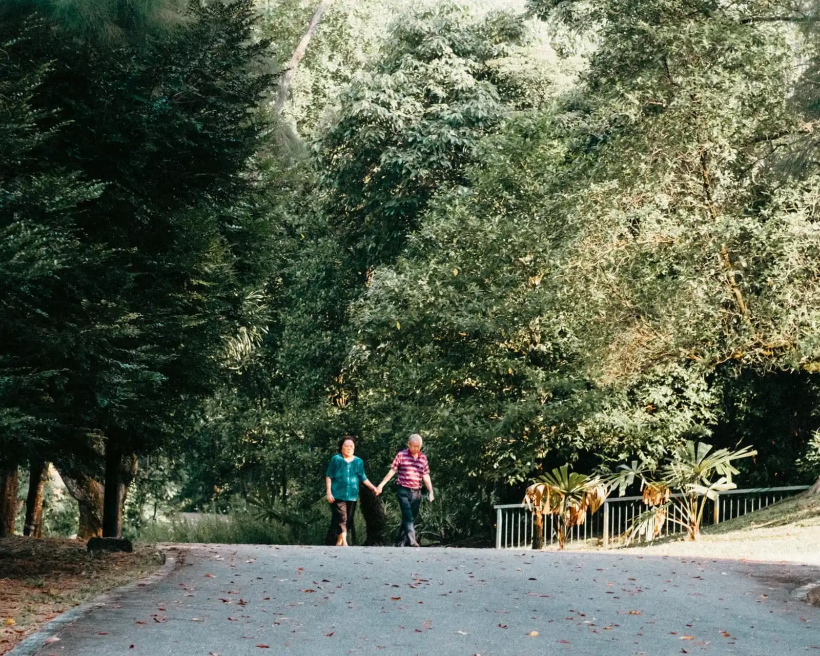 An older couple holding hands while walking along a green forest path
