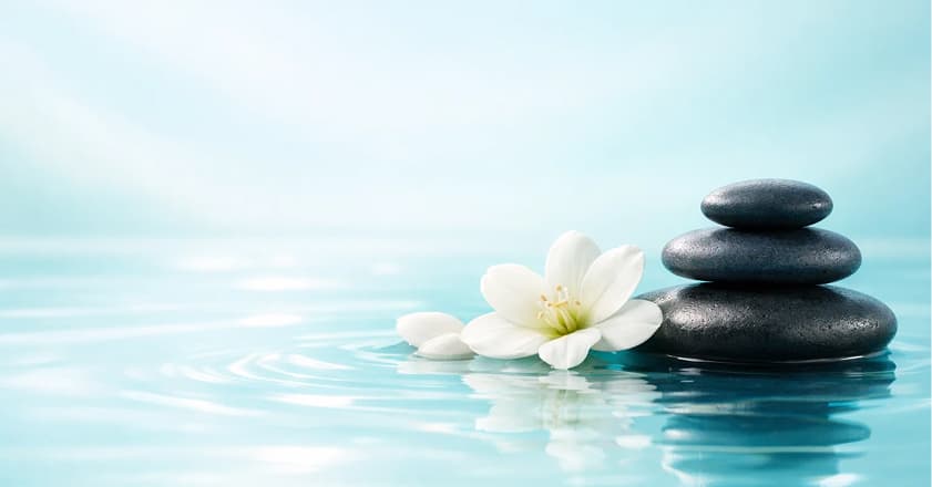 Spa and Wellness